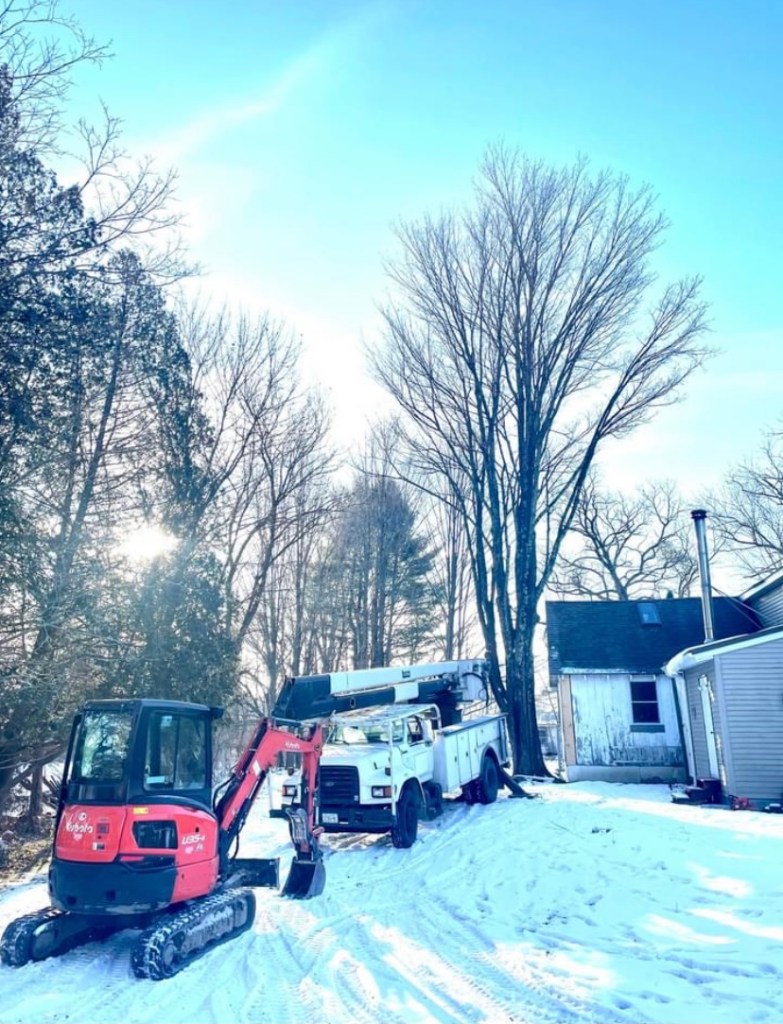 Tree surgeon equipment