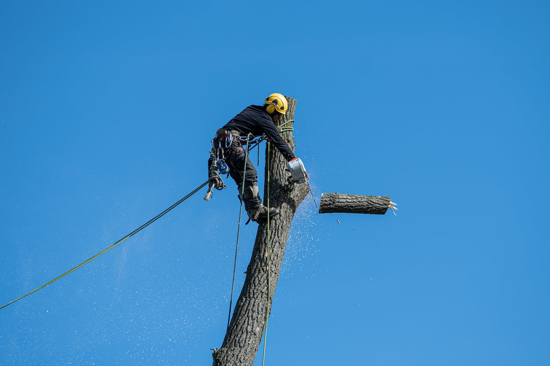 Residential tree services in Cambridge New York