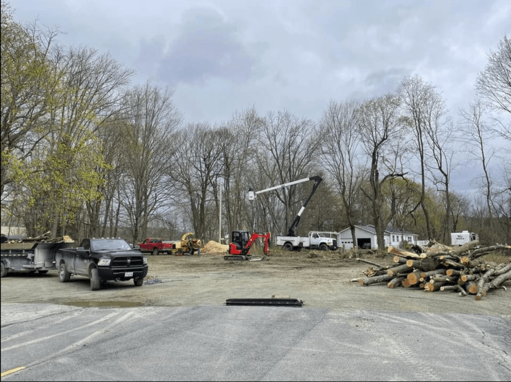 Tree Services in Eagle Bridge New York