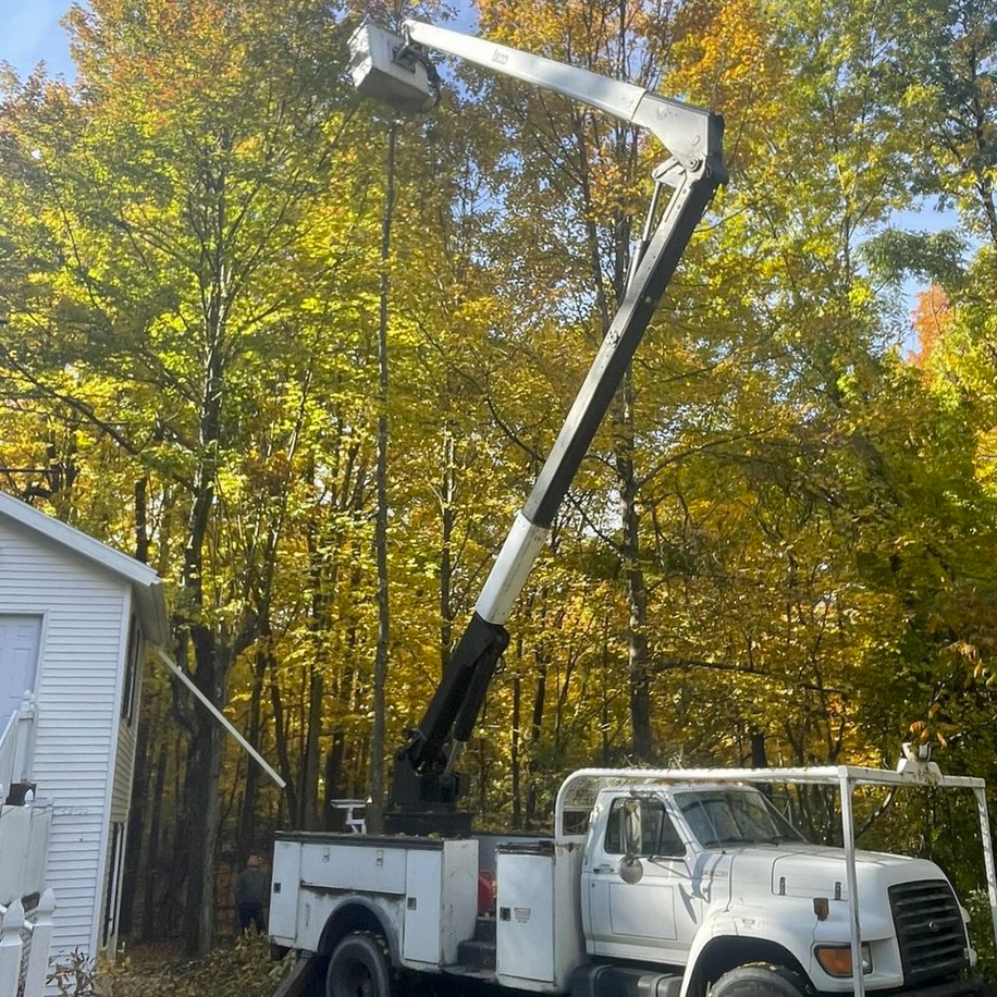 Tree services in Hartford New York