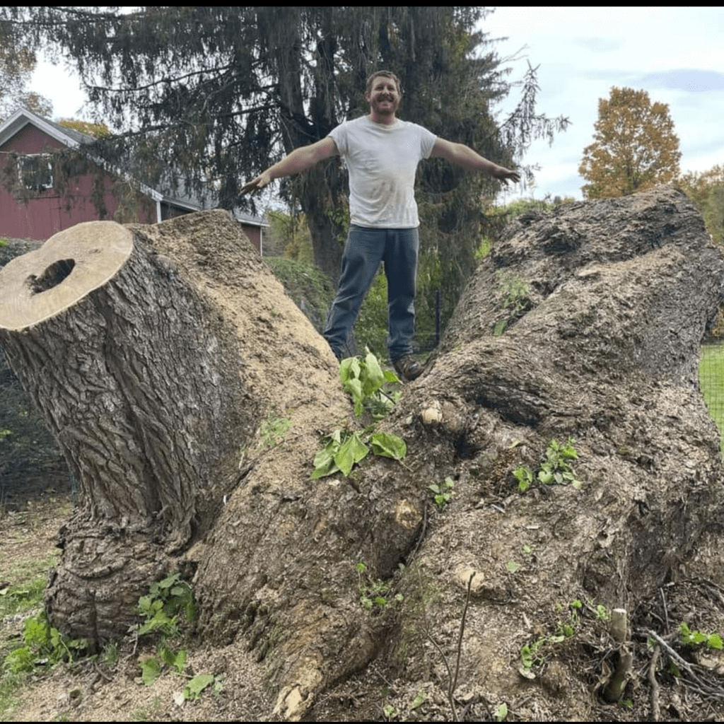 Tree surgeon in Salem New York